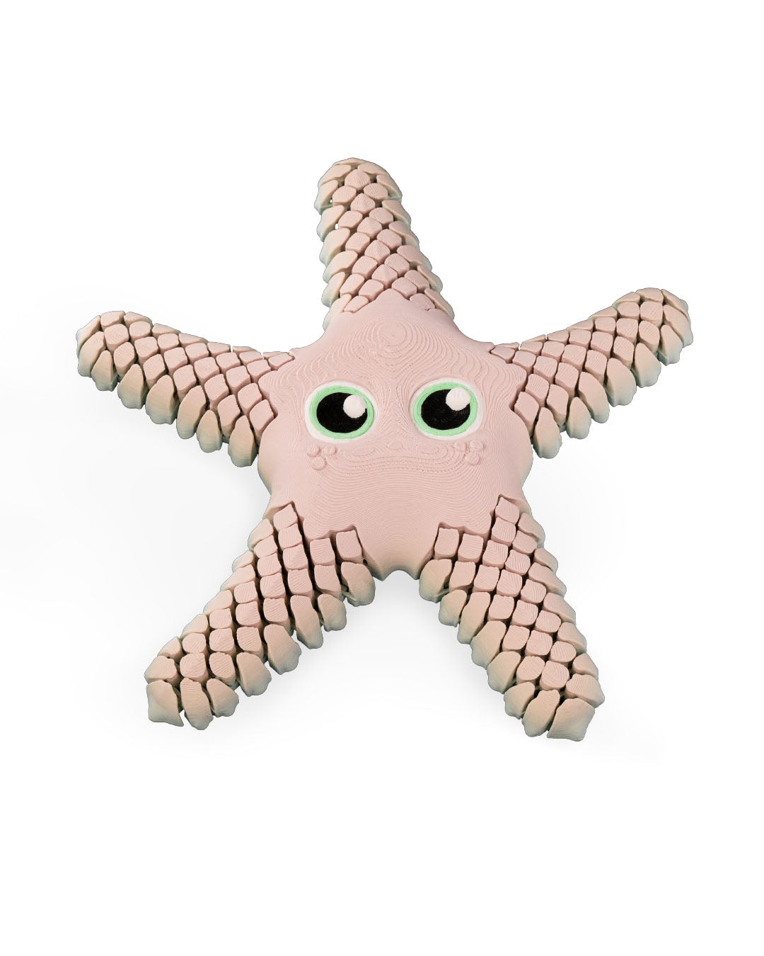 🌊 Sandy the Articulated Sea Star – Your Ocean Friend on Land! 🌟