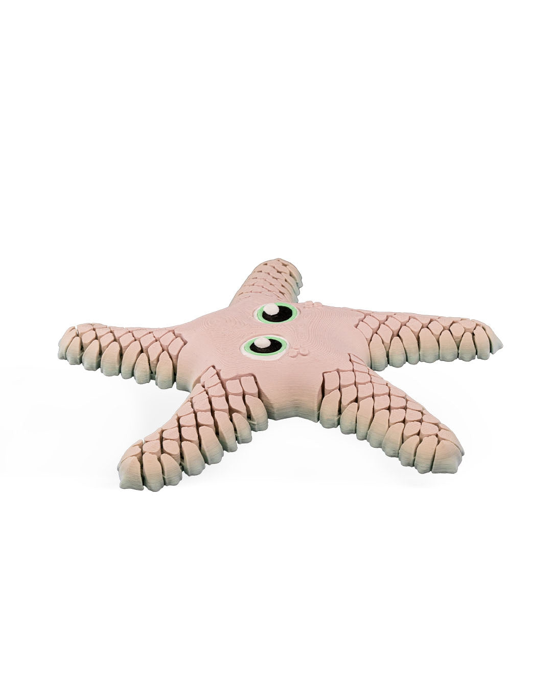 🌊 Sandy the Articulated Sea Star – Your Ocean Friend on Land! 🌟