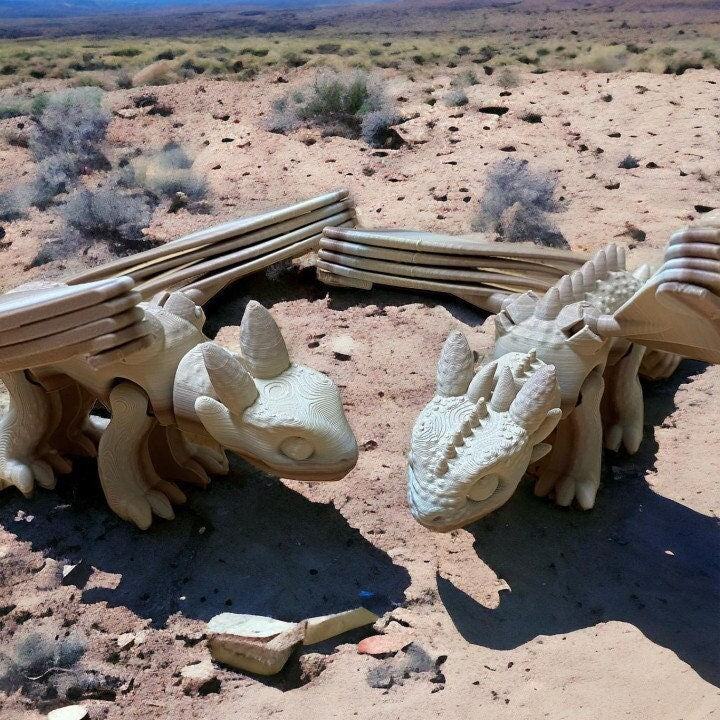 Introducing the Mystical Night Fury & Light Fury 3D Print ✨🐉 | Unique Home Decor Gift – handcrafted 3D printed decor gift