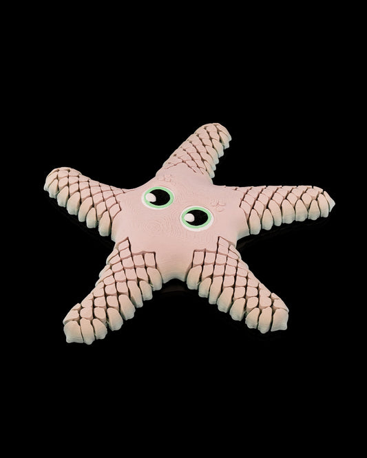 🌊 Sandy the Articulated Sea Star – Your Ocean Friend on Land! 🌟 | Unique Home Decor Gift – handcrafted 3D printed decor gift