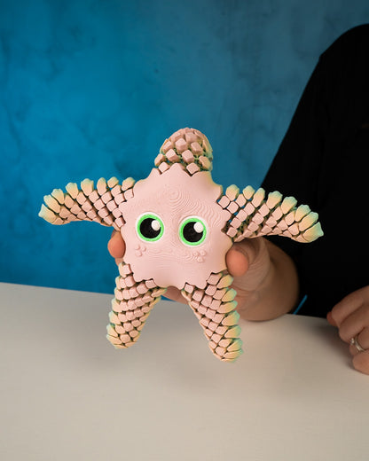🌊 Sandy the Articulated Sea Star – Your Ocean Friend on Land! 🌟
