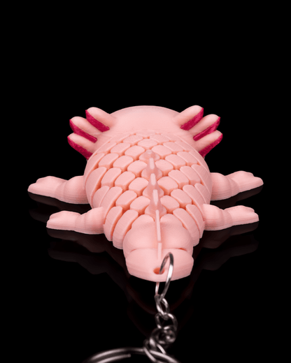 🌊 Ashley the Axolotl – 3D Printed Mesh Articulated Wonder! 🐾
