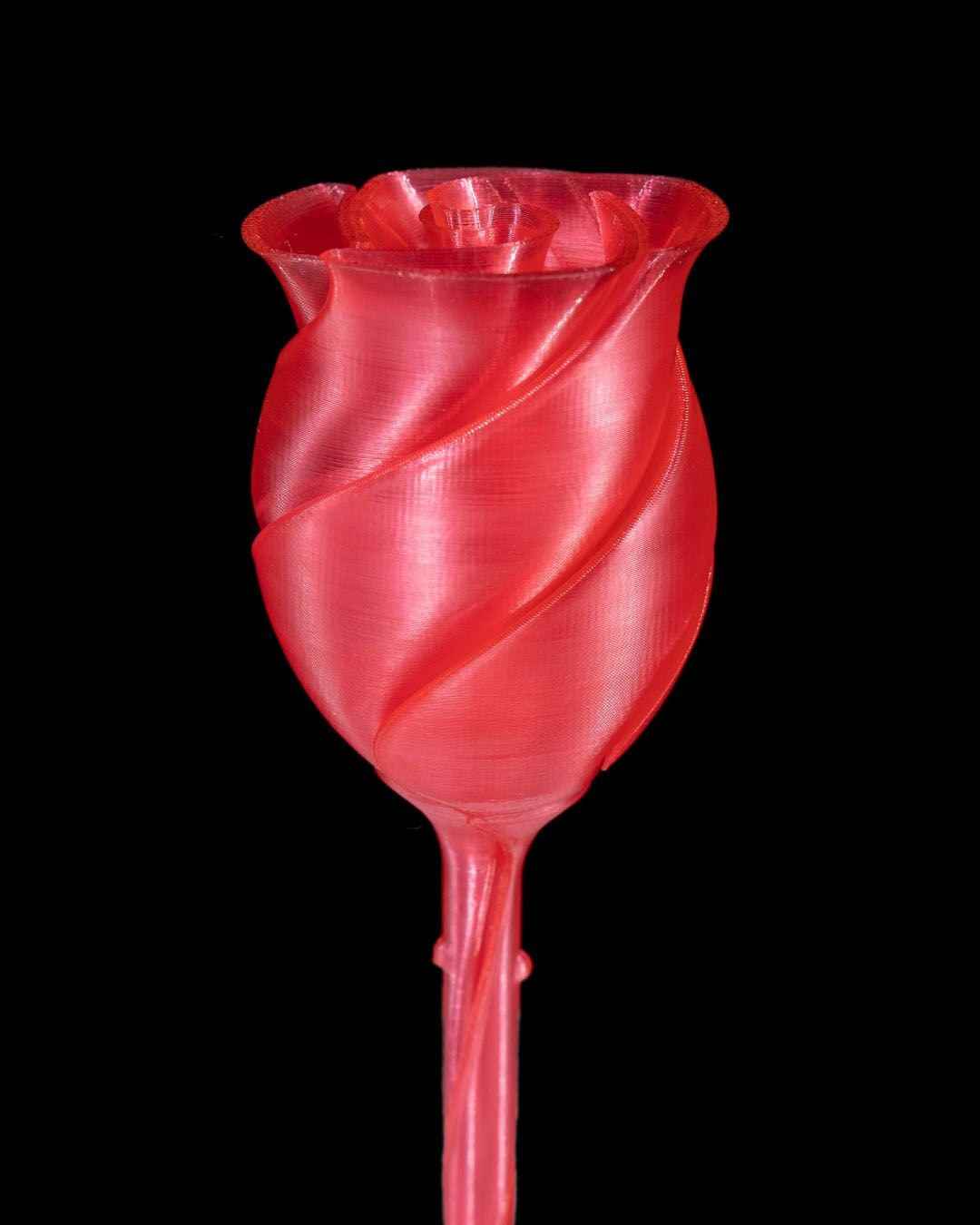Twisted Rose | Unique Home Decor Gift