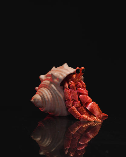 Articulated home decor gift piece