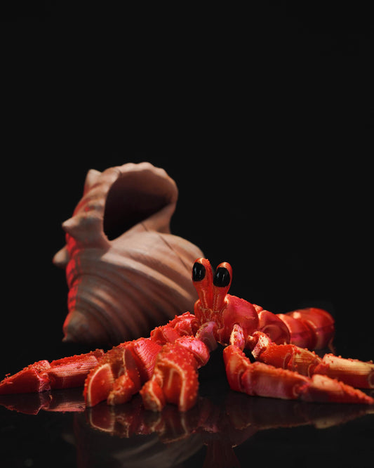 🦀 3D Printed Articulated Hermit Crab 🌊 – handcrafted 3D printed decor gift