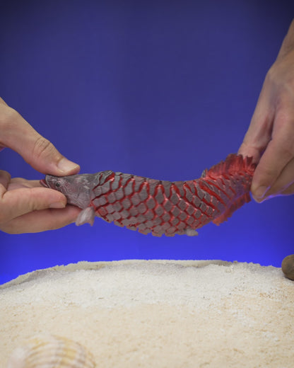 🐟 3D Printed Articulated Pirarucu Fish – A Masterpiece of the Amazon 🌿