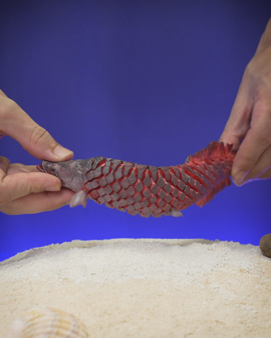 🐟 3D Printed Articulated Pirarucu Fish – A Masterpiece of the Amazon 🌿