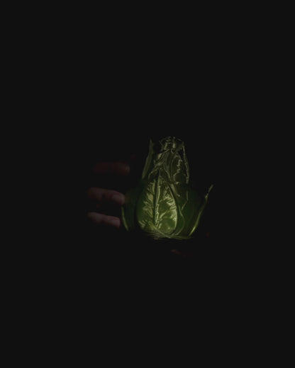 🌿🐉 3D Printed Dragon Egg with Leaf Hatchling – Nature’s Little Guardian 🐉🌿
