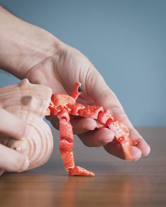 Articulated Hermit Crab